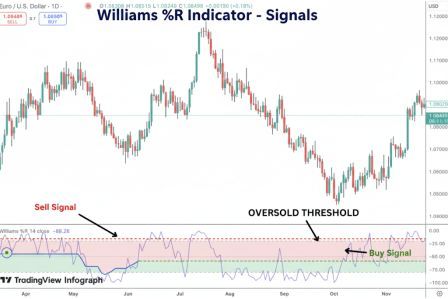 Williams %R इंडिकेटर क्या है ,इससे ट्रेड कैसे करें? 4 williams r indicator